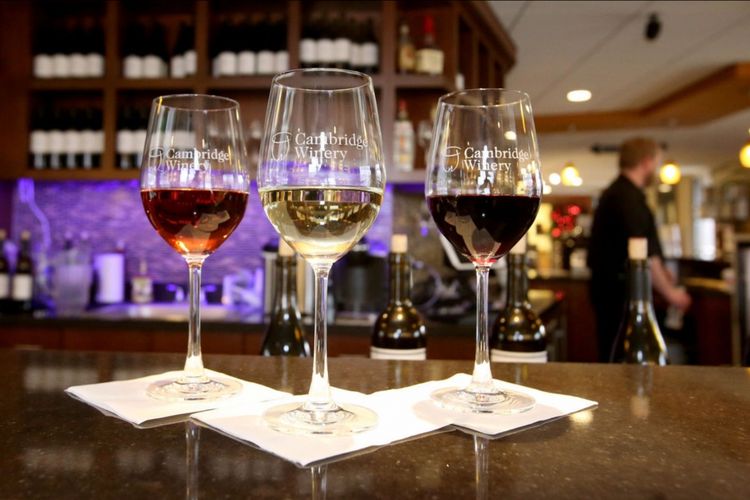 Cottage Grove, WI Homes for Sale and Realtors